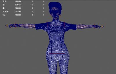 女护士套装 医护人员 女护士