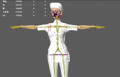 女护士套装 医护人员 女护士