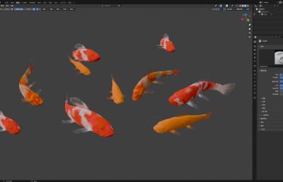 池塘里成群结队的锦鲤鱼