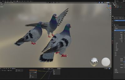 写实风格的几只鸽子动物模型