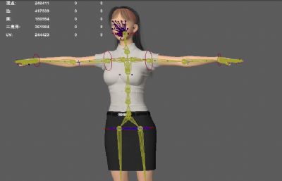 公务员行政专员 写实职业女性 衬衣女青年