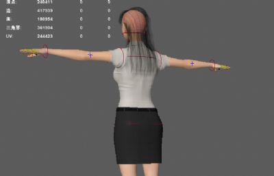 公务员行政专员 写实职业女性 衬衣女青年