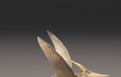 长鳍翼龙,恐龙