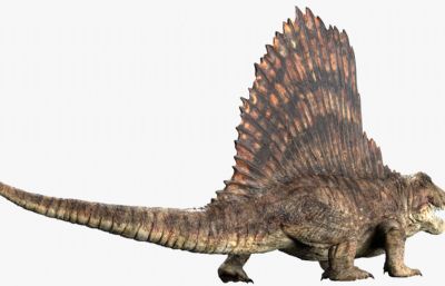 Dimetrodon异齿龙