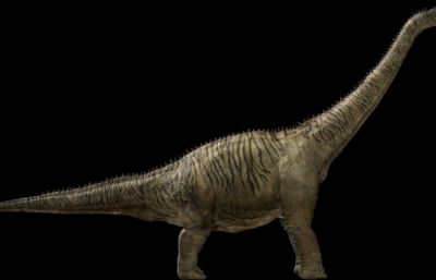 brontosaurus雷龙