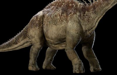 Amargasaurus阿马加龙