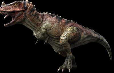 Ceratosaurus角鼻龙