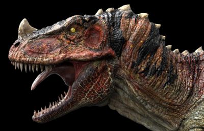 Ceratosaurus角鼻龙