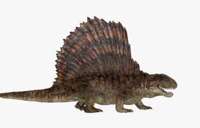 Dimetrodon异齿龙