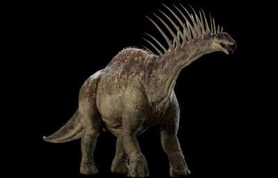 Amargasaurus阿马加龙