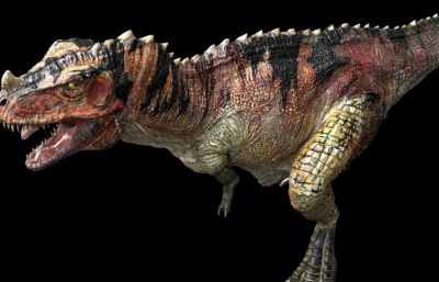 Ceratosaurus角鼻龙