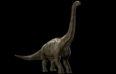 brontosaurus雷龙