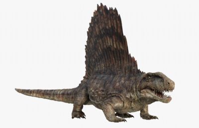 Dimetrodon异齿龙