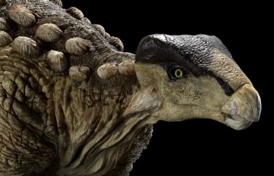 EuropeltaSaurus欧罗巴龙