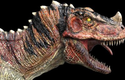 Ceratosaurus角鼻龙