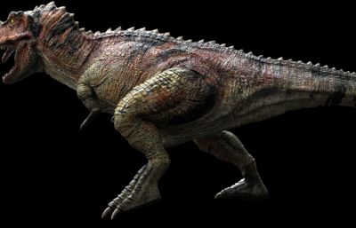 Ceratosaurus角鼻龙