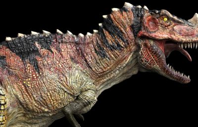 Ceratosaurus角鼻龙