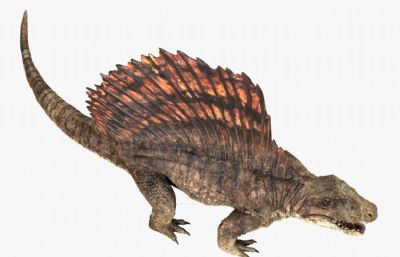 Dimetrodon异齿龙