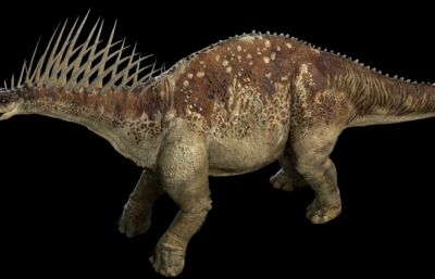 Amargasaurus阿马加龙