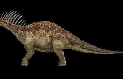 Amargasaurus阿马加龙