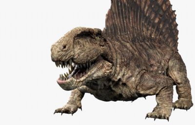 Dimetrodon异齿龙