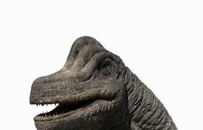 brachiosaurus腕龙