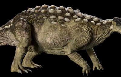 EuropeltaSaurus欧罗巴龙