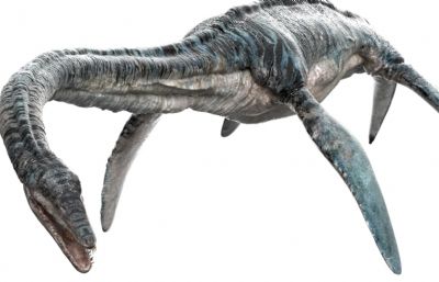 Elasmosaurus蛇颈龙,薄片龙