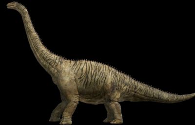 brontosaurus雷龙
