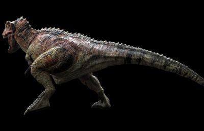 Ceratosaurus角鼻龙