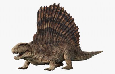 Dimetrodon异齿龙