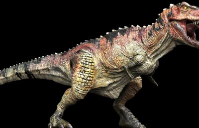 Ceratosaurus角鼻龙