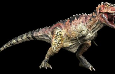 Ceratosaurus角鼻龙