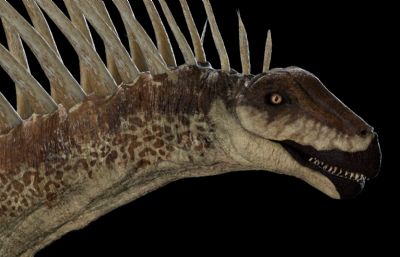 Amargasaurus阿马加龙