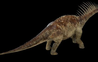 Amargasaurus阿马加龙