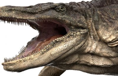 Tylosaurus沧龙,海王龙