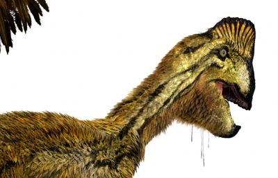 Oviraptor窃蛋龙,盗龙