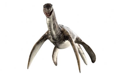 Plesiosaurus蛇颈龙