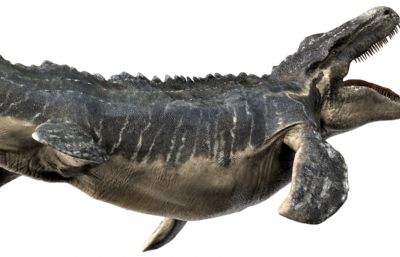 Mosa莫萨龙,沧龙