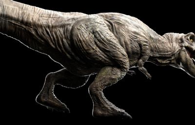 Tyrannosaurus Rex霸王龙