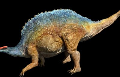 Ouranosaurus豪勇龙