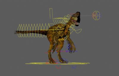Oviraptor窃蛋龙,盗龙