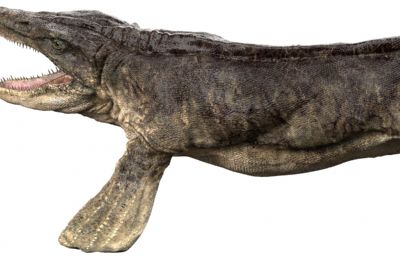 Tylosaurus沧龙,海王龙