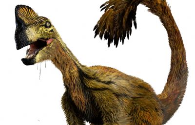 Oviraptor窃蛋龙,盗龙