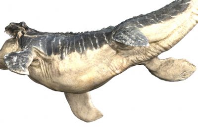 Mosa莫萨龙,沧龙