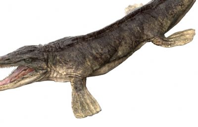 Tylosaurus沧龙,海王龙