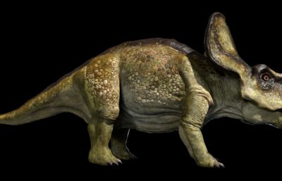 protoceratops原角龙