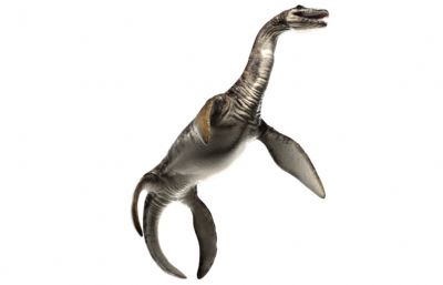 Plesiosaurus蛇颈龙