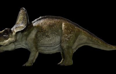 protoceratops原角龙