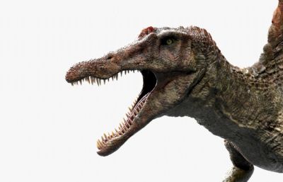 Spinosaurus棘龙,剑龙